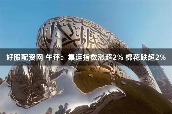 好股配资网 午评：集运指数涨超2% 棉花跌超2%