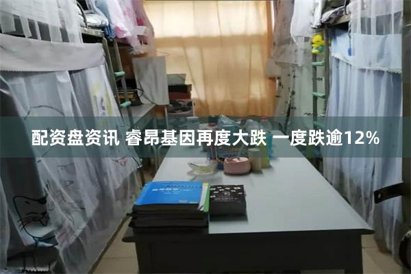 配资盘资讯 睿昂基因再度大跌 一度跌逾12%