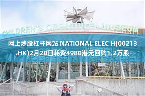 网上炒股杠杆网站 NATIONAL ELEC H(00213.HK)2月20日耗资4980港元回购1.2万股