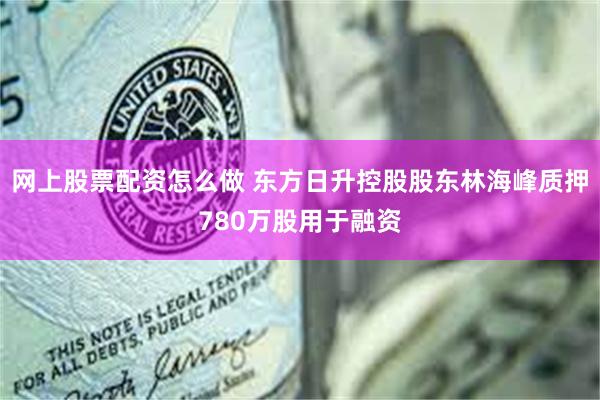 网上股票配资怎么做 东方日升控股股东林海峰质押780万股用于融资