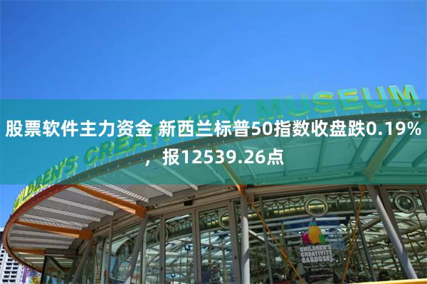股票软件主力资金 新西兰标普50指数收盘跌0.19%，报12539.26点