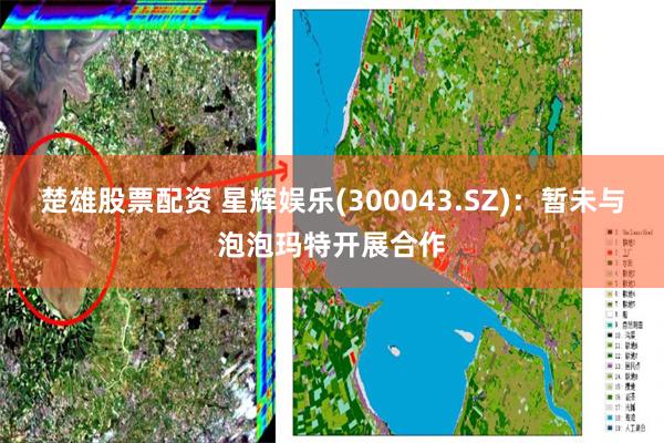 楚雄股票配资 星辉娱乐(300043.SZ)：暂未与泡泡玛特开展合作