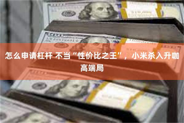 怎么申请杠杆 不当“性价比之王”，小米杀入升咖高端局