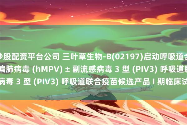 炒股配资平台公司 三叶草生物-B(02197)启动呼吸道合胞病毒 (RSV) + 人偏肺病毒 (hMPV) ± 副流感病毒 3 型 (PIV3) 呼吸道联合疫苗候选产品 I 期临床试验
